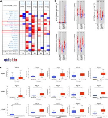 Comprehensive Analysis of the Value of SMYD Family Members in the Prognosis and Immune Infiltration of Malignant Digestive System Tumors